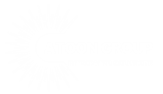 Atoon Group